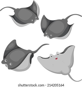 Illustrator of Stingrays