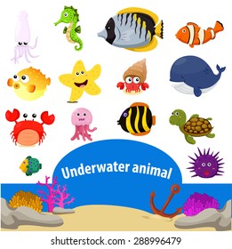 Illustrator of Underwater animals 