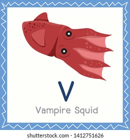 Illustrator Of V For Vampire Squid Animal