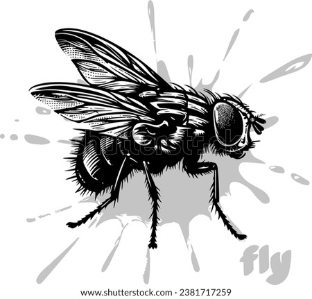 Illustrator vector design featuring a monochrome depiction of a fly on a blot [[stock_photo]] © 