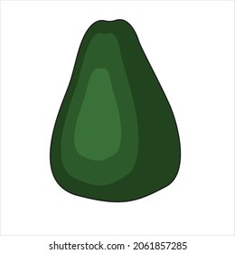 illustrator vector object avocado fruit