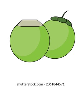 illustrator vector object coconut fruit