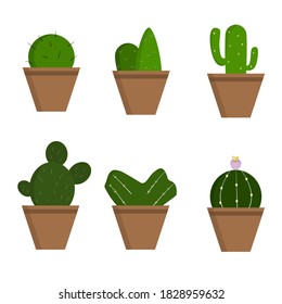 Illustrator vector of a set of cactus