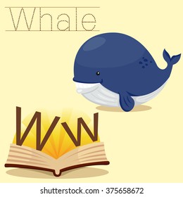 Illustrator of W for Whale vocabulary