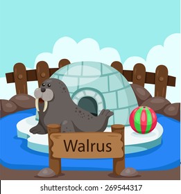 Illustrator of Walrus in the zoo