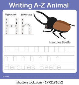 
Illustrator of writing a-z animal hercules beetle