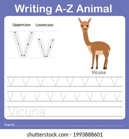 Illustrator of writing a-z animal vicuna