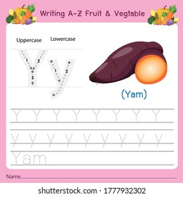 Ilustrador de la escritura a-z Fruit & Vagetable Y