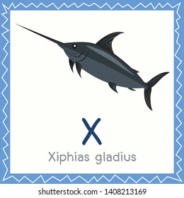 Illustrator Of X For Xiphias Gladius Animal