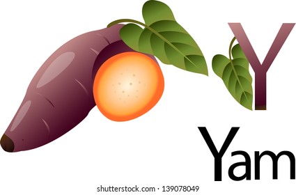 illustrator y font with yam