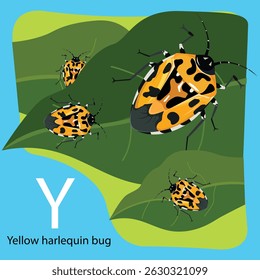 Illustrator of Y is Yellow harlequin bug