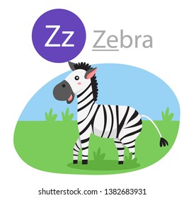 Illustrator of Z for zebra animal