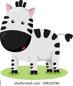 Illustrator of zebra in the zoo
