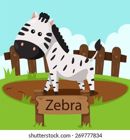 Illustrator of zebra in the zoo