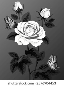 Illustrazione in bianco e nero con rose.Vector illustration with butterflies and roses in black and white.