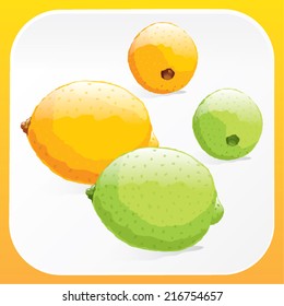 Illutstration of lemon and lime