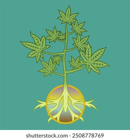 ilustraciones de plantas de cannabis coloridas