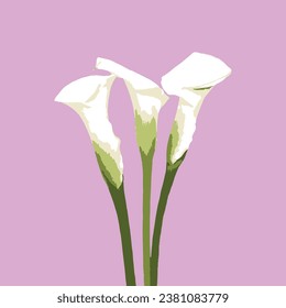 Ilustraciones florales realistas para diseños de novias simples y elegantes, fondo de escritorio, saludos, fondos de escritorio, moda flower calla callas white pattern patterns textile textile