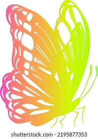 Ilustration art butterfly multicolor gradient isolated white