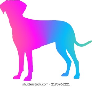 Ilustration art dog multicolor gradient isolated white