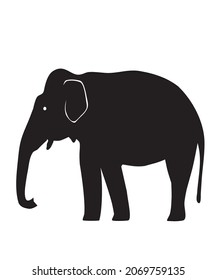 The ilustration of asian elephant