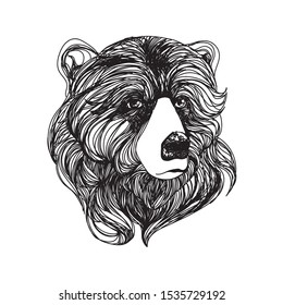 an ilustration of bear drawing arts