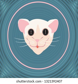 Ilustration of a cat's head with two old fashioned clocks instead of eyes on the background made of concentric circles.