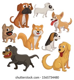 Illustration von acht Hundearten, einschließlich Pug, Korgi, Golden Retriever, Shiba inu, Beagle, Bull Terrier, Boxer und Rottweiler