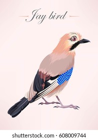 Ilustration of eurasian jay