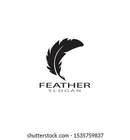 ilustration feather logo template vector