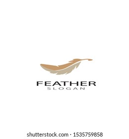 ilustration feather logo template vector