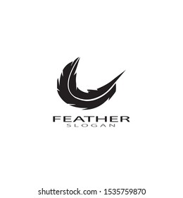 ilustration feather logo template vector