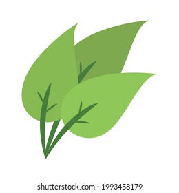 ilustration green leaf icon vector