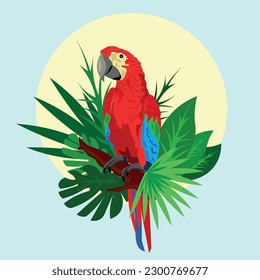 Naturvogelmaka-Vektorgrafik der Illustration