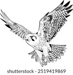 Ilustration of a peregrine falcon flying.