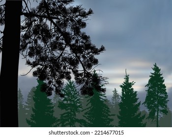 Ilustration With Pine Branch On Dark Forest Silhouette Background