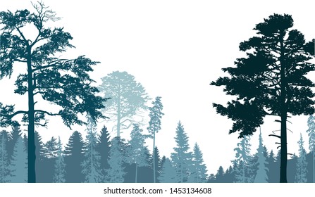 ilustration with pine forest silhouettes isolated on white background