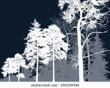 Ilustración con siluetas de pinares aisladas en un fondo oscuro