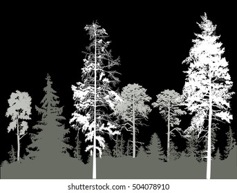 ilustration with pine forest silhouettes isolated on black background