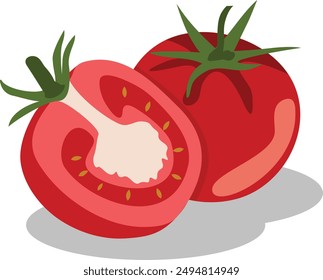 Ilustration of red tomato vector 