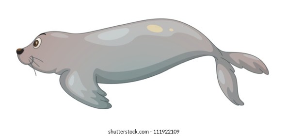 ilustration of a seal fish on a white background