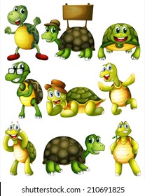 Ilustration of a set of turtle with actions