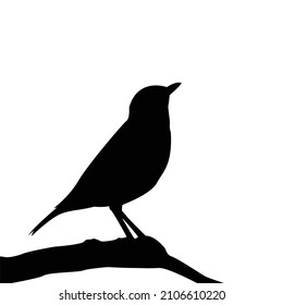 Ilustration vector Bird Silhouette perfect for your design dark them like poster, banner,  your social media story etc. 