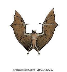 Ilustration vector design isolated of BAT