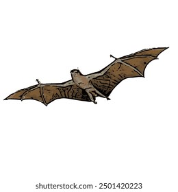Ilustration vector design isolated of BAT