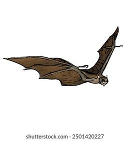 Ilustration vector design isolated of BAT