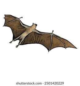 Ilustration vector design isolated of BAT