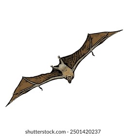 Ilustration vector design isolated of BAT