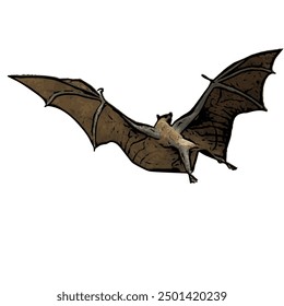 Ilustration vector design isolated of BAT