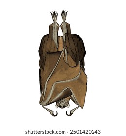 Ilustration vector design isolated of BAT